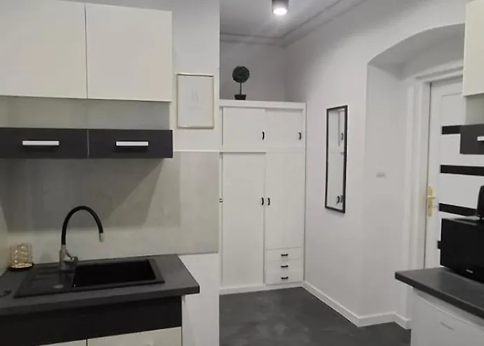 Antracyt * ヴァウブジフ